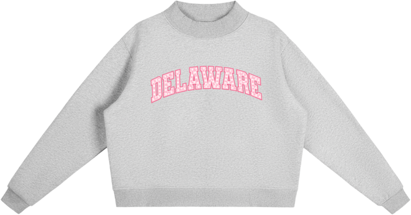 Grey Delaware mock neck sweatshirt